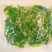 長持ち 水菜の冷蔵 冷凍保存方法 レシピ 作り方 By 新米幸せママ 楽天レシピ 長持ち 水菜の冷蔵 冷凍保存方法 レシピ 作り方 By 新米幸せママ 楽天レシピ